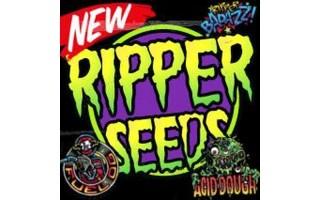 Nuevas variedades Ripper Seeds 2016 | Blog Themariashop