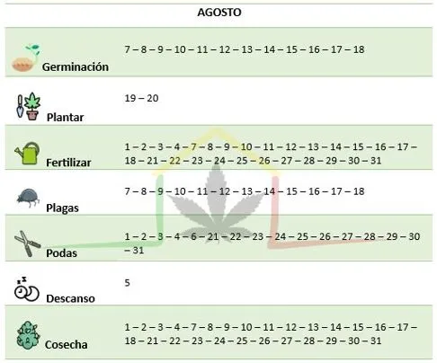 Calendario lunar Agosto
