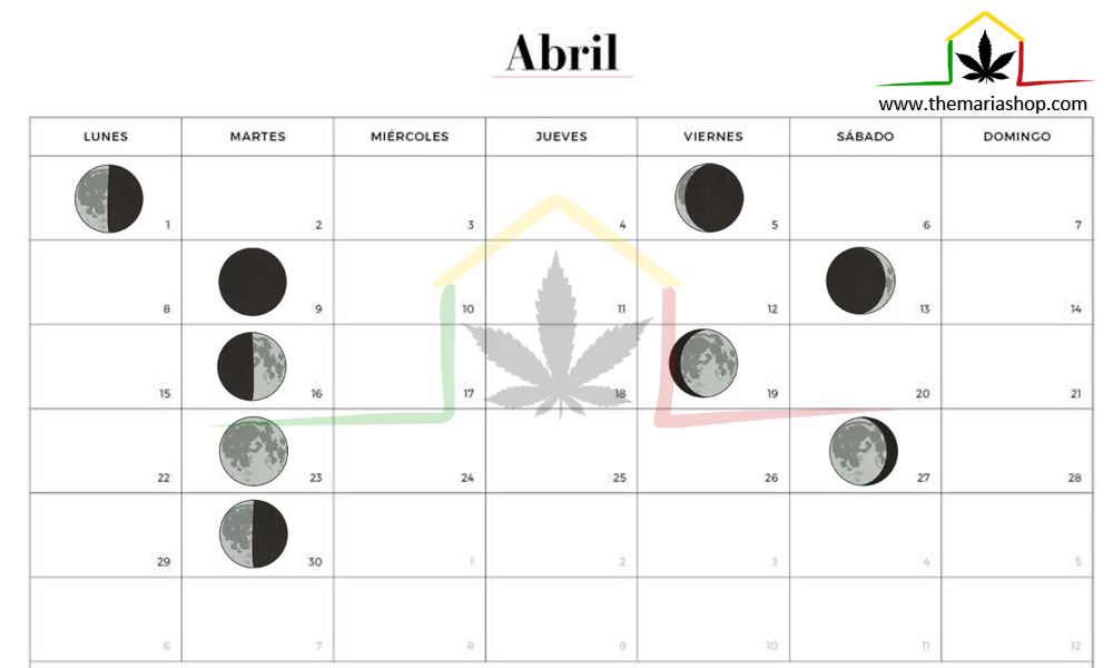 Calendario lunar cannábico Abril