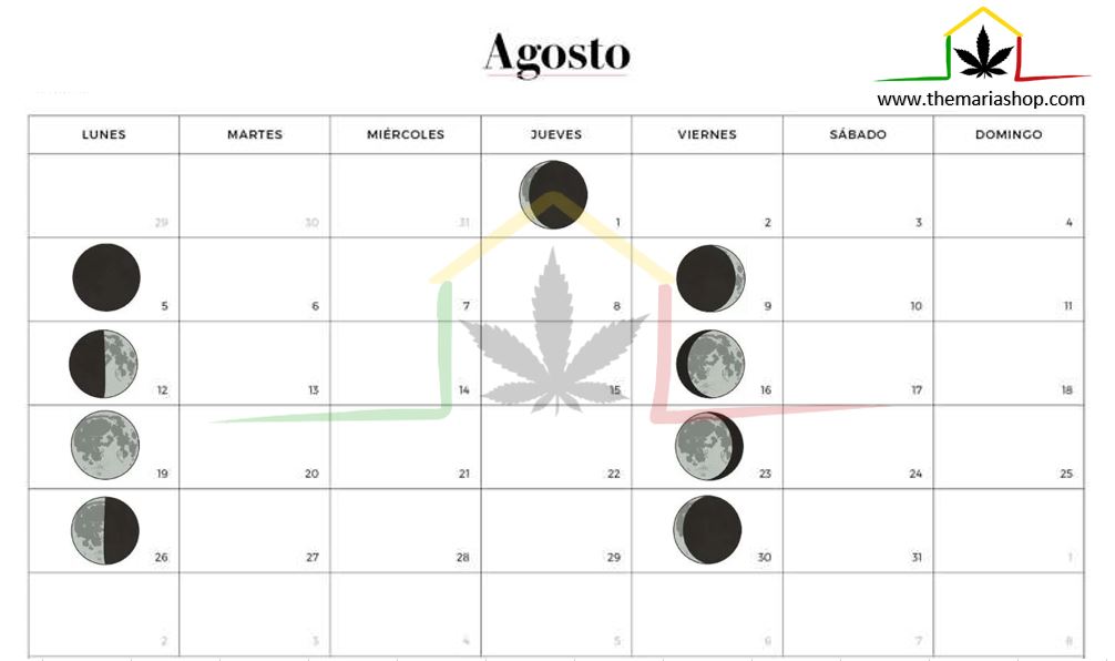 Calendario lunar cannábico Agosto