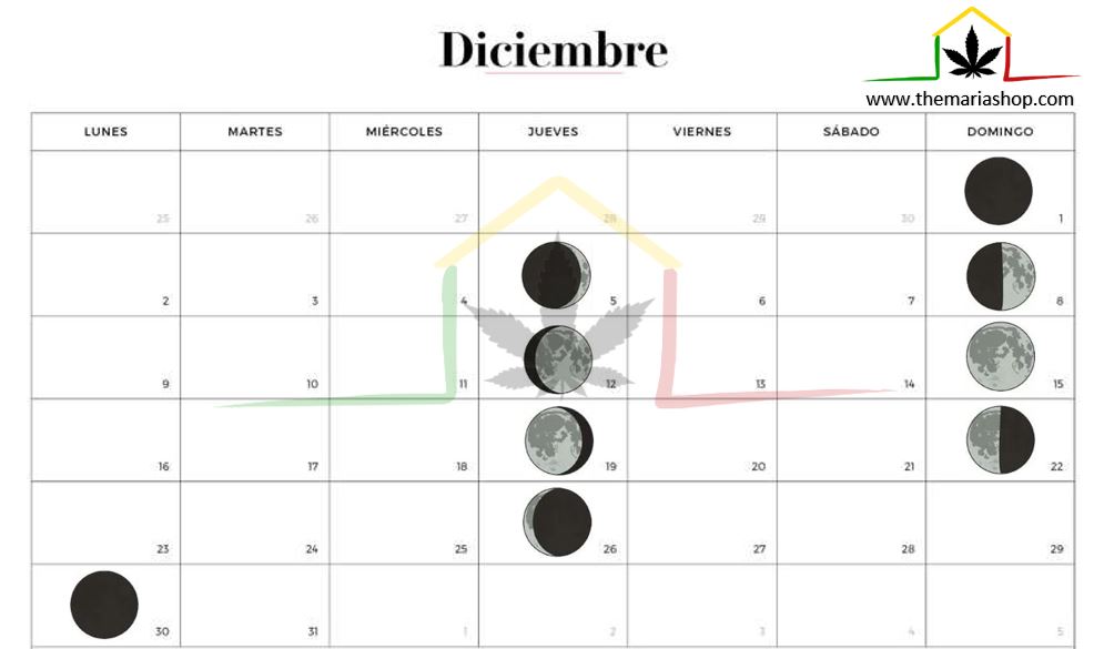 Calendario lunar cannábico Diciembre