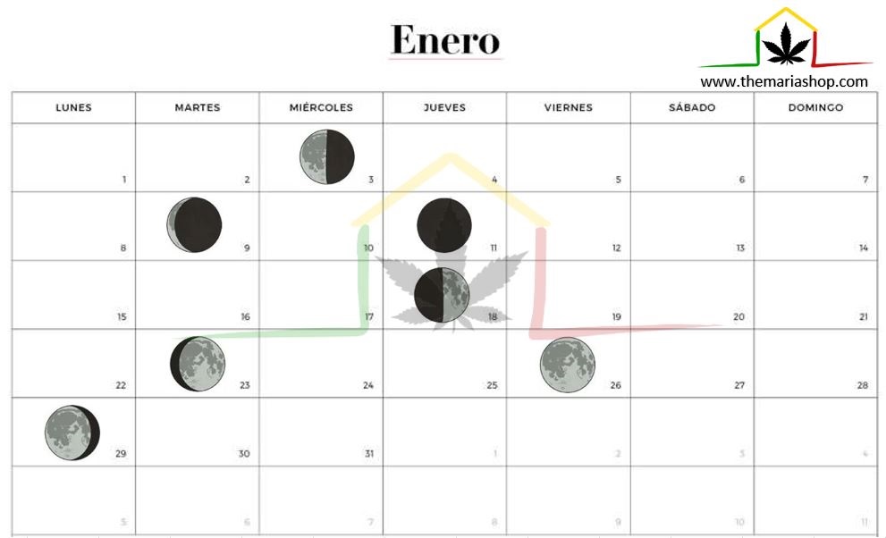 Calendario lunar cannábico enero 2024