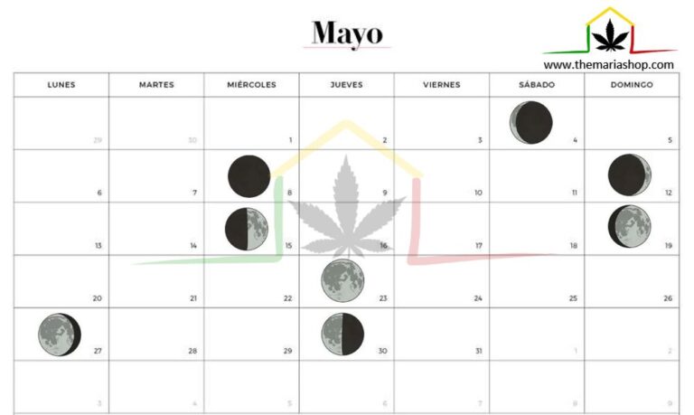 Calendario Lunar Cannábico 2024 - Themariashop