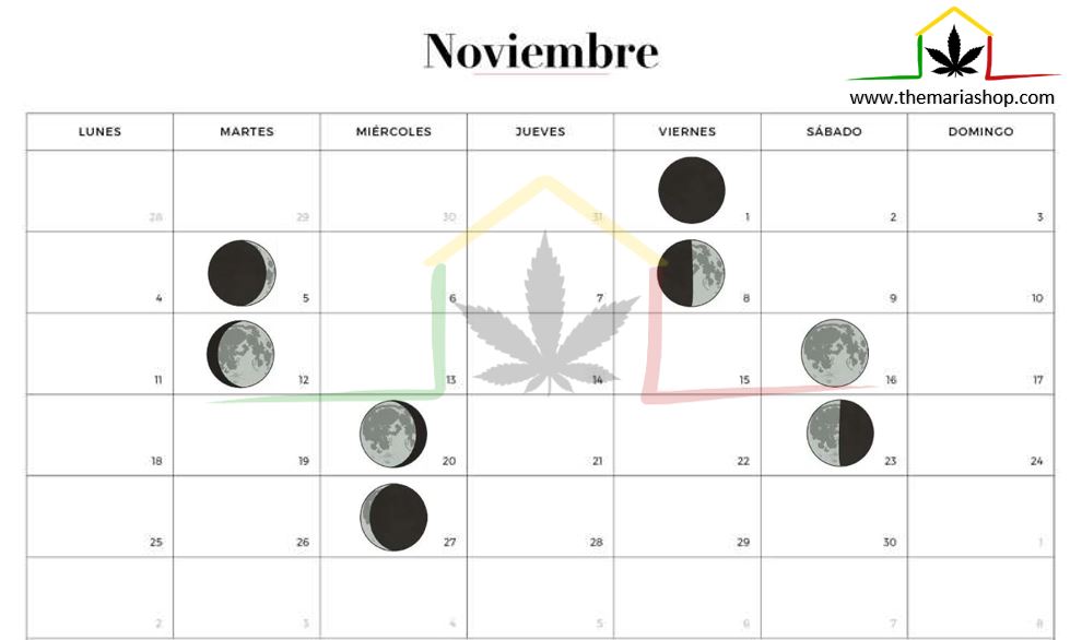 Calendario lunar cannábico Noviembre