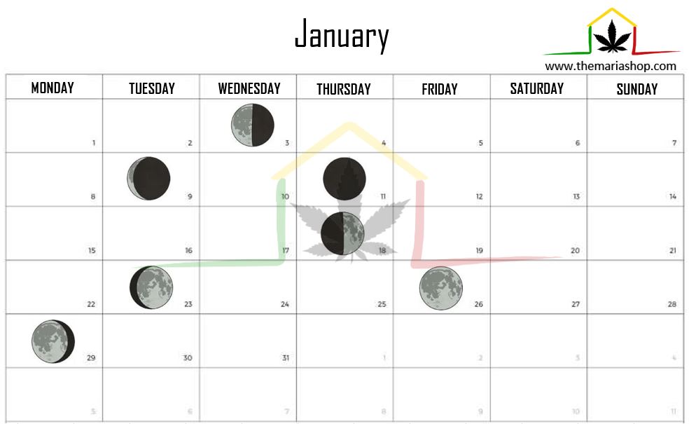 Moon calendar january 2024