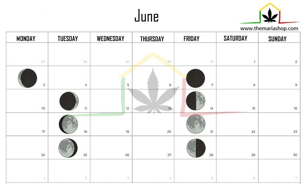 Moon calendar june 2024