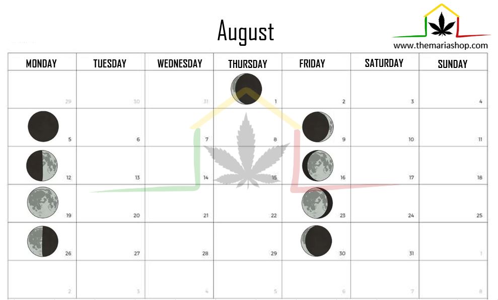 Moon calendar august 2024