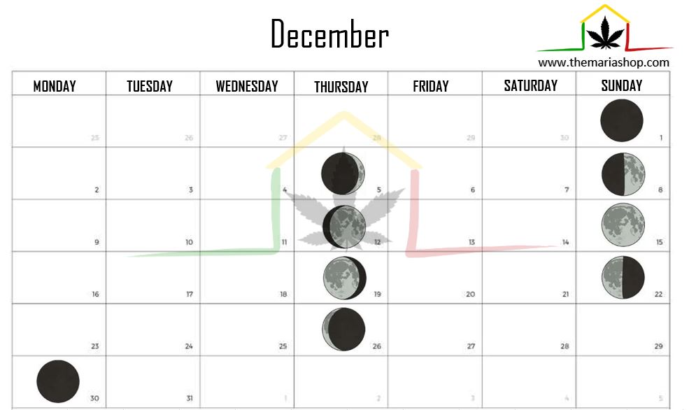 Moon calendar december 2024