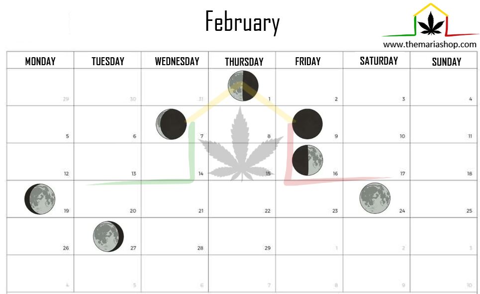 Moon calendar february 2024