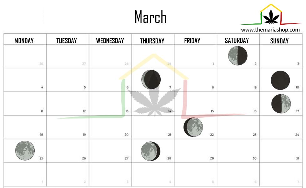 Moon calendar march 2024
