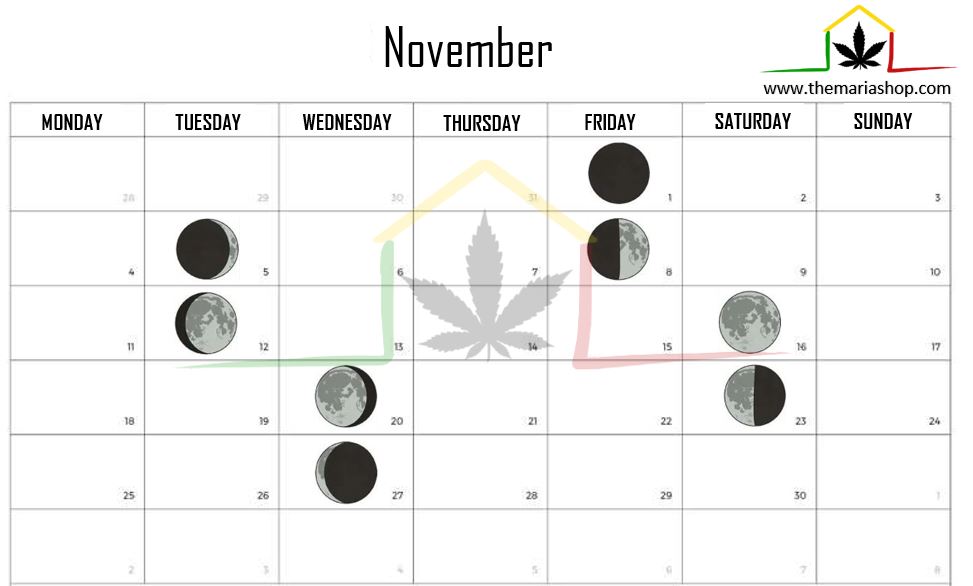 Moon calendar november 2024