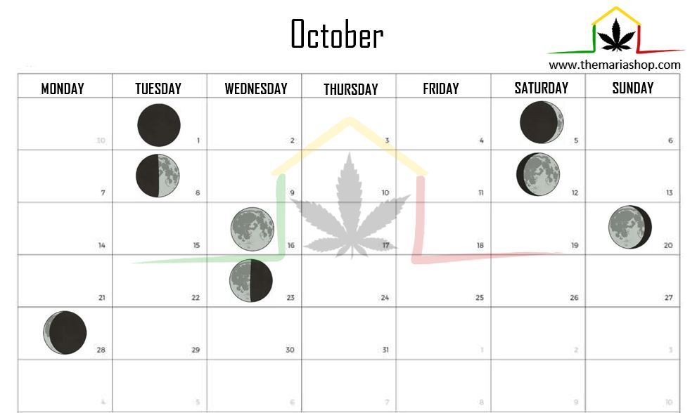 Moon calendar october 2024