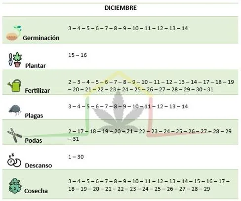 Calendario lunar Diciembre