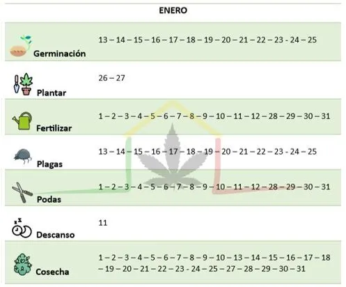 Enero 2024 calendario lunar cannabis