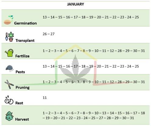 Cannabis lunar calendar january 2024