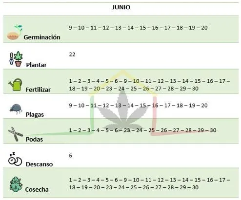 Calendario cannábico Junio