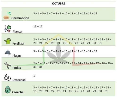 Calendario lunar cannábico Octubre 2024