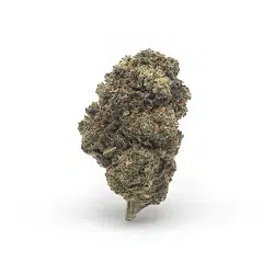 cogollo cbd