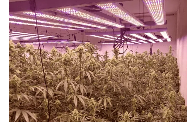 ¿Cómo saber que LED necesito?