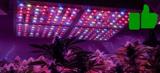 ventajas cultivo led cannabis