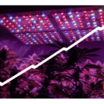 Advantages and disadvantages of LED grow lights