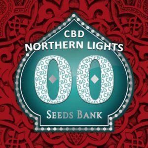 Northern Lights CBD de 00 Seeds son semillas de marihuana autoflorecientes que puedes comprar en nuestro grow shop online.