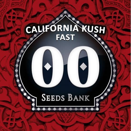 California Kush Fast de 00 Seeds son semillas de marihuana autoflorecientes que puedes comprar en nuestro grow shop online.