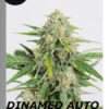 Dinamed CBD Auto (Dinafem seeds), semillas de marihuana feminizadas autoflorecientes que puedes comprar en nuestro grow shop online.