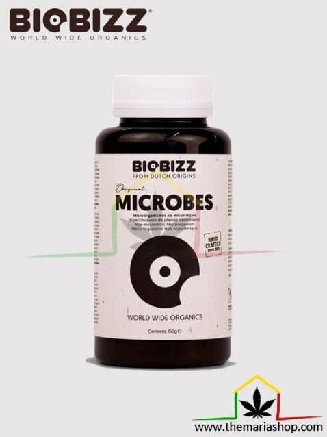 Microbes de Biobizz, mezcla de trichoderma, bacterias y enzimas. Estimula el crecimiento de raíces y de las plantas. Puedes comprarlo en nuestro grow shop.