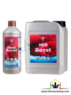 Hesi Boost es un acelerador de floración para plantas de marihuana, Ayuda a programar los períodos de cosecha. Puedes comprar este producto en nuestra web