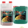 Canna Cannazym mejora la absorción de materias nutritivas para las plantas de marihuana que puedes comprar cannazym en nuestro grow shop online.