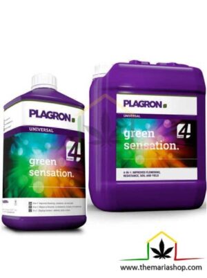 Green Sensation de Plagron, es de los mejores estimuladores de floración de plantas de marihuana, aumenta la producción y el sabor. Cómpralo en Themariashop.