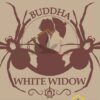 Buddha White Widow de Buddha Seeds