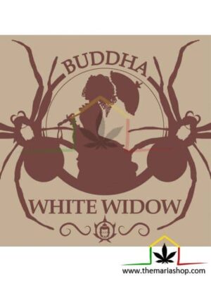 Buddha White Widow de Buddha Seeds