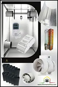 Basic growing tent kit of 100