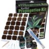 Kit propagador root riot, es un kit en el encontrarás todo lo necesario para hacer esquejes de plantas de marihuana, que puedes comprar en nuestro grow shop.