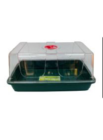Comprar Mini invernadero de plástico de alta calidad, ideal para hacer esquejes de marihuana, en nuestro grow shop online themariashop.