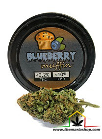 Flores de CBG Blueberry Muffin 3,5gr, cáñamo con fines aromáticos. THC inferior al 0,2% y CBD 10%. Sin efectos psicoactivos ni farmacológicos.