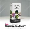 Auto Cinderella Jack - Dutch Passion
