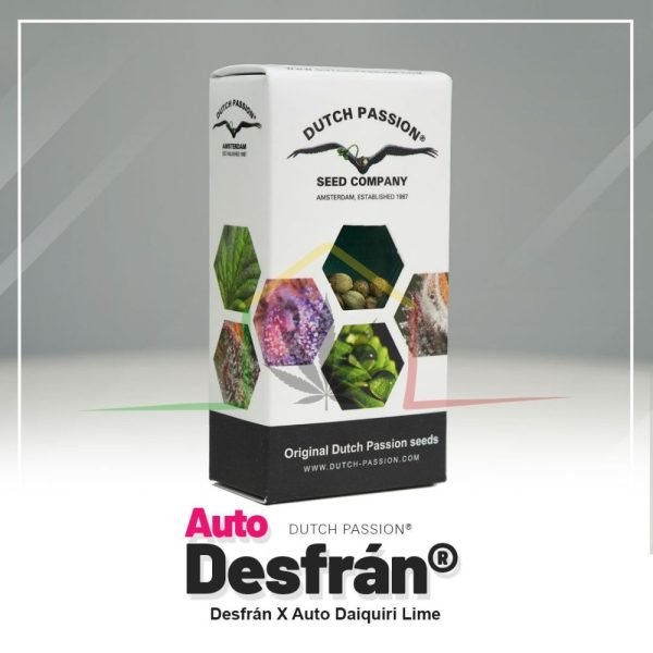 Auto Desfrán - Dutch Passion