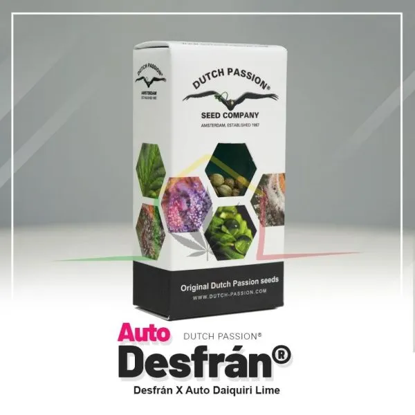 Auto Desfrán - Dutch Passion