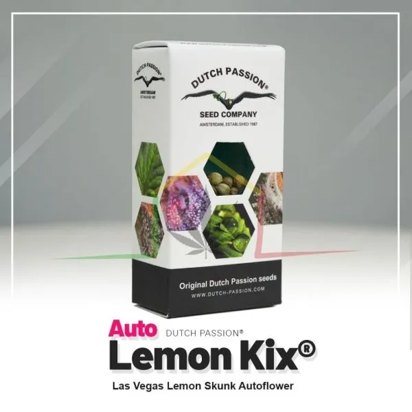 Auto Lemon Kix - Dutch Passion