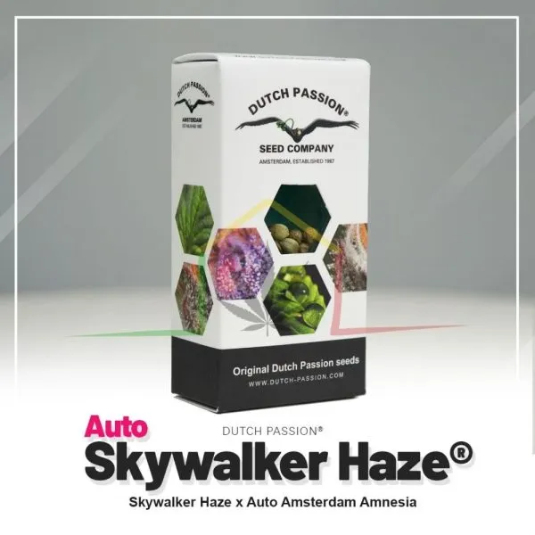 Auto Skywalker Haze - Dutch Passion