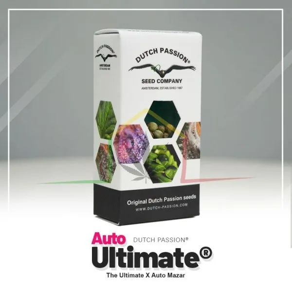 Auto Ultimate - Dutch Passion