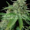 Brazil Amazonia from World of Seeds Pure Origin, are original cannabis seeds from different countries that you can buy in our Grow Shop