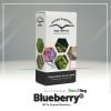 Blueberry - Dutch Passion