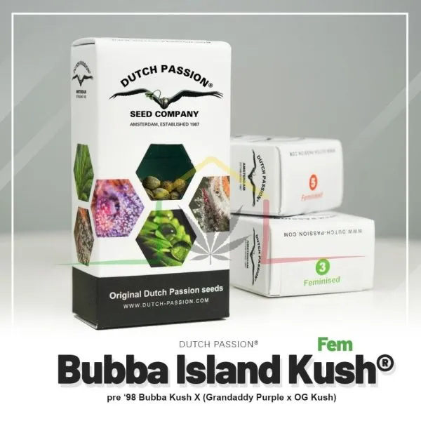Bubba Island Kush - Dutch Passion
