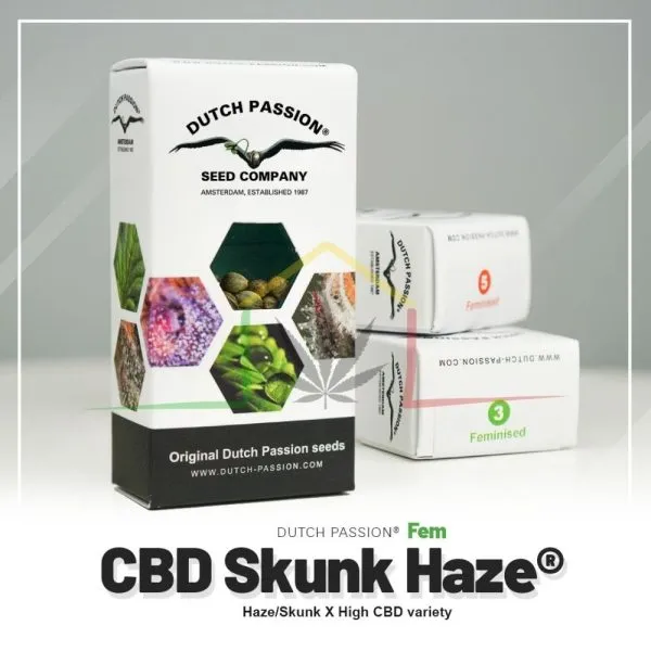 CBD Skunk Haze - Dutch Passion