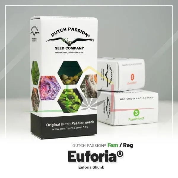 Euforia - Dutch Passion