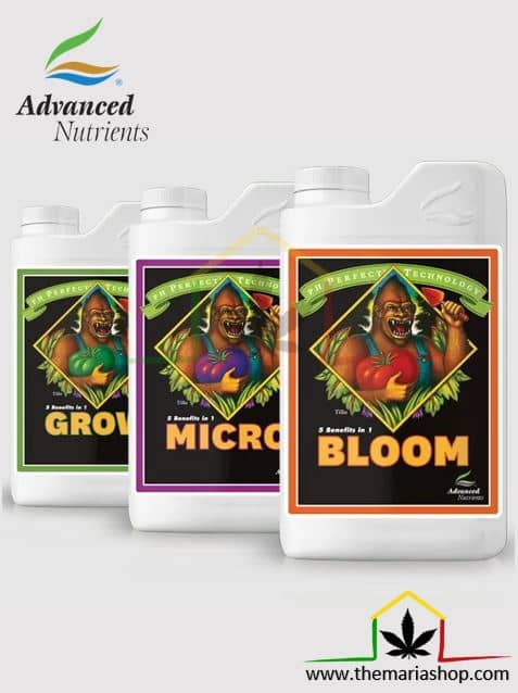 grow-micro-bloom